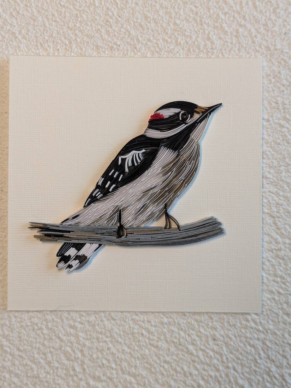 Downey Woodpecker - 4x4 Wall Art