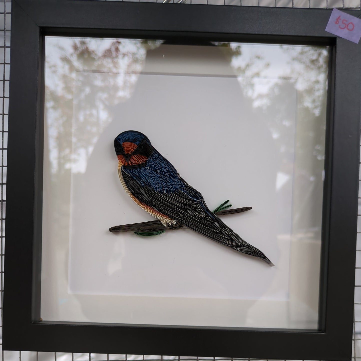 Masked Bluebird - Wildlife Series - 8x8 Wall Art