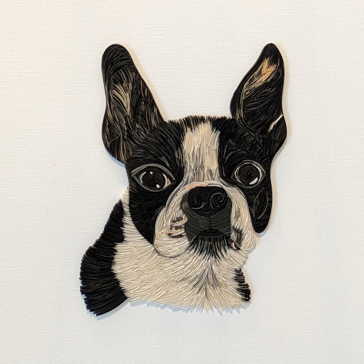 Daisy the Boston Terrier - Custom Pet Portrait