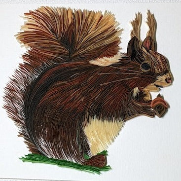 Red Squirrel - Wildlife Series - 8x10 Wall Art