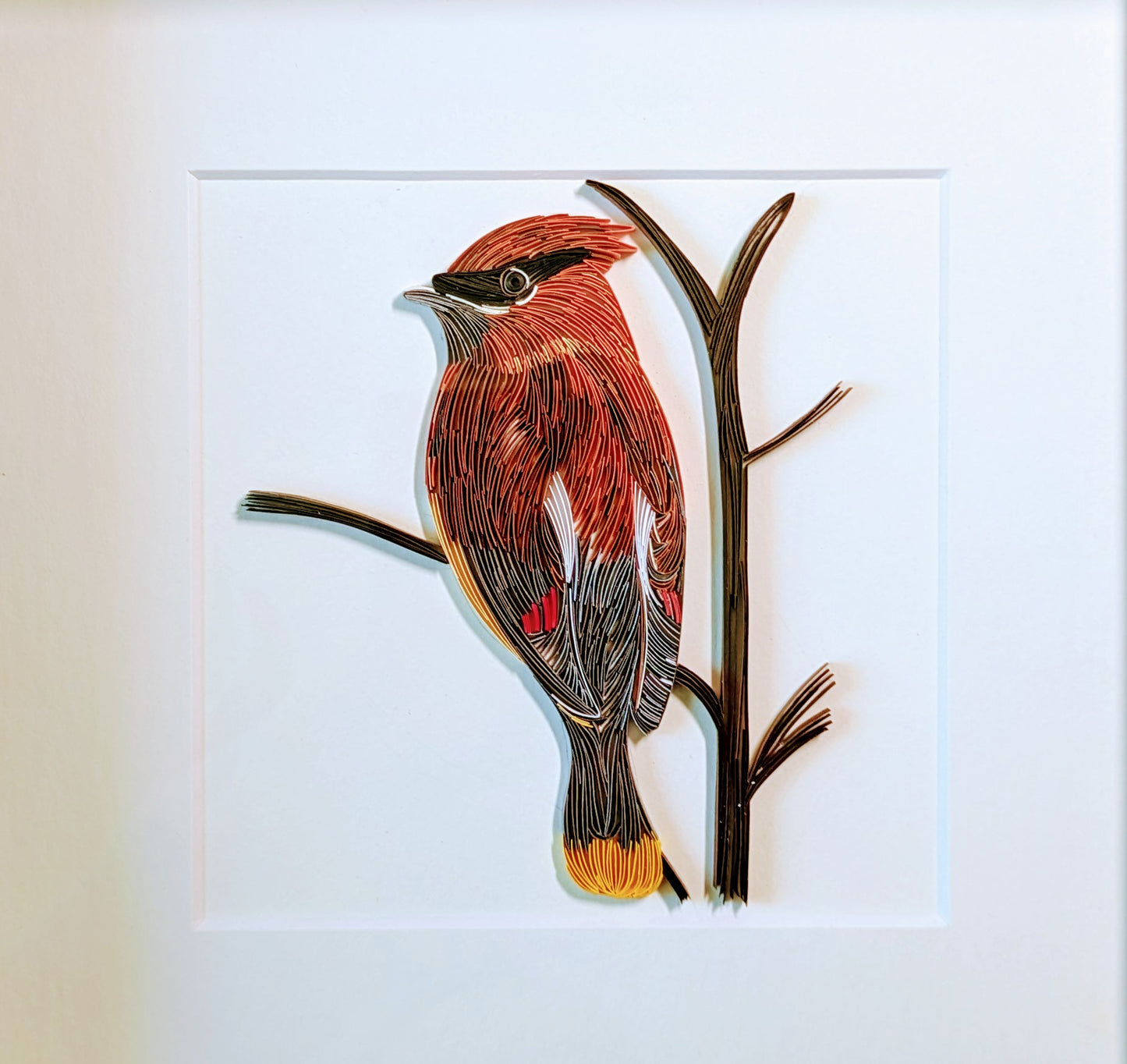 Cedar Waxwing - Wildlife Series - 8x8 Wall Art