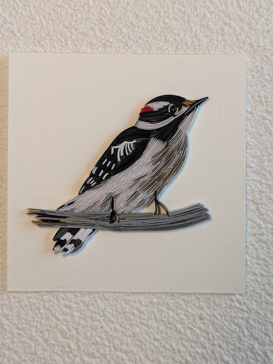 Downey Woodpecker - 4x4 Wall Art