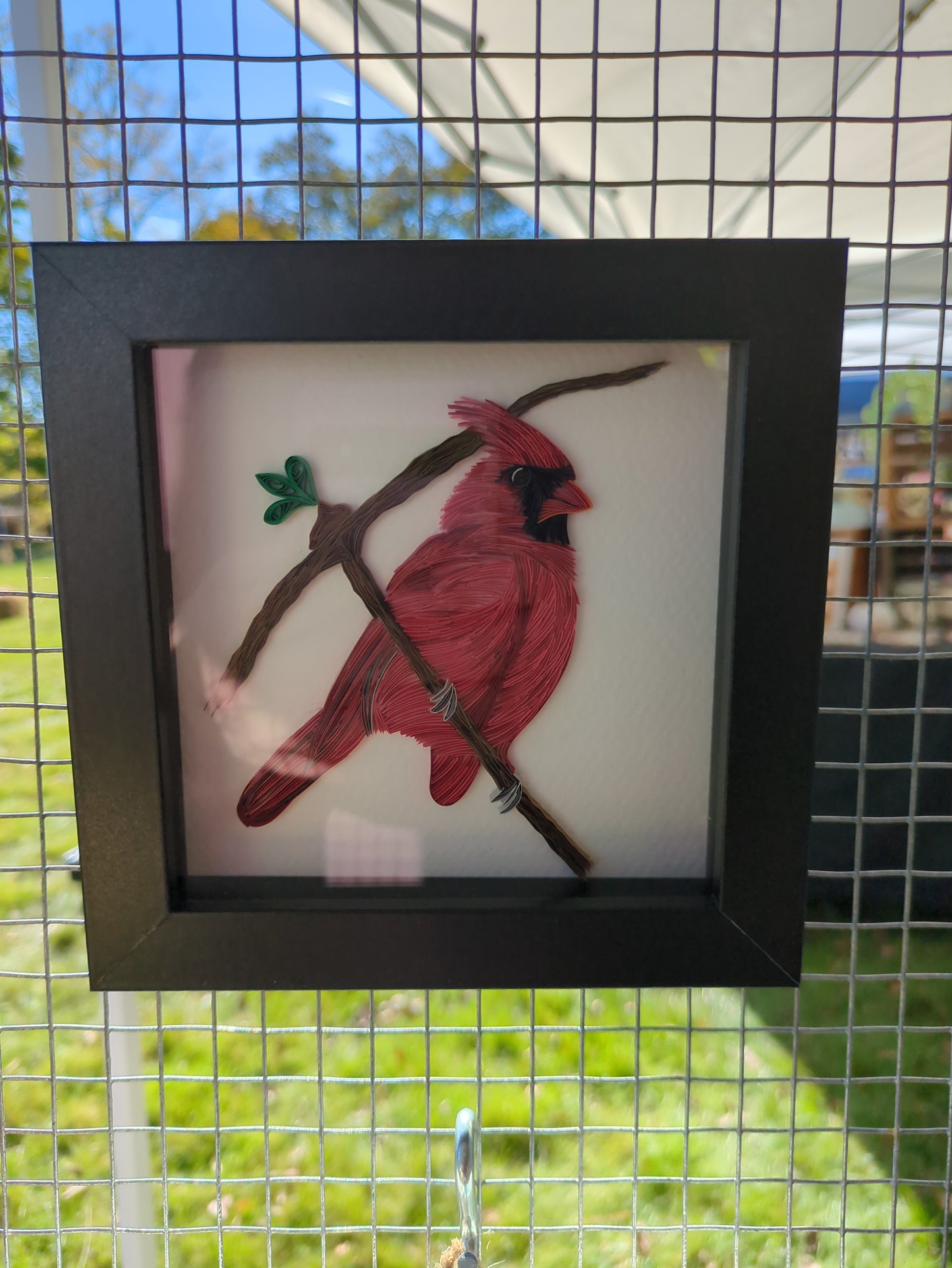 Cardinal - 5x5 Wall Art