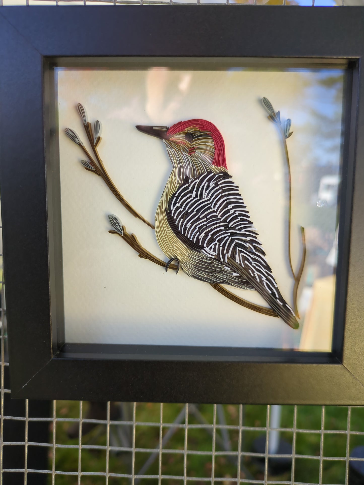 Downey Woodpecker - 5x5 Wall Art