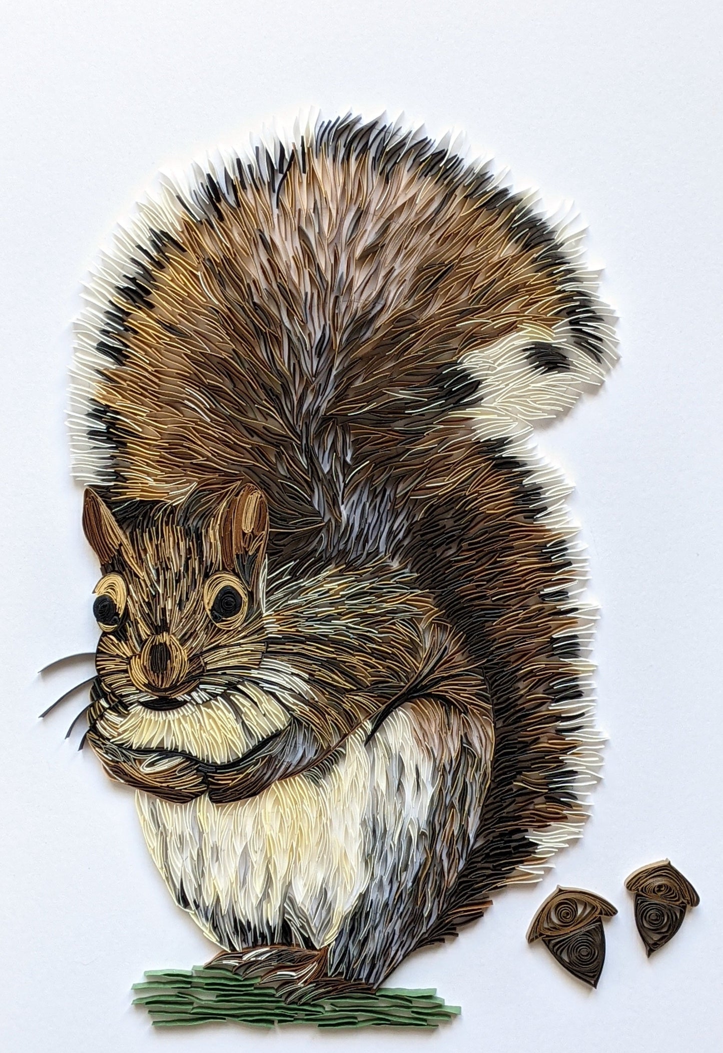 Wildlife Series - Gray Squirrel