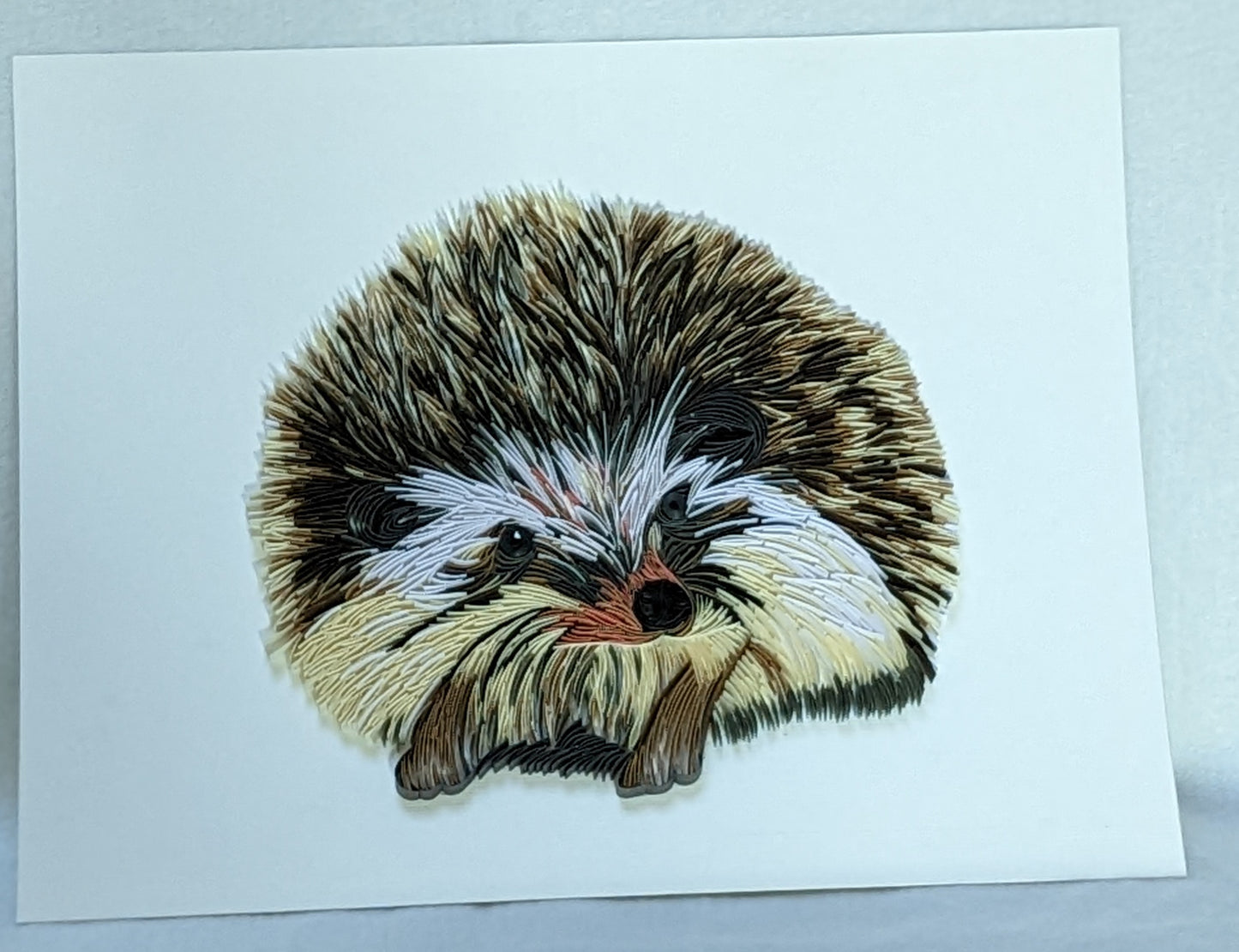 Hedgehog - Wildlife Series - 8x10 Wall Art