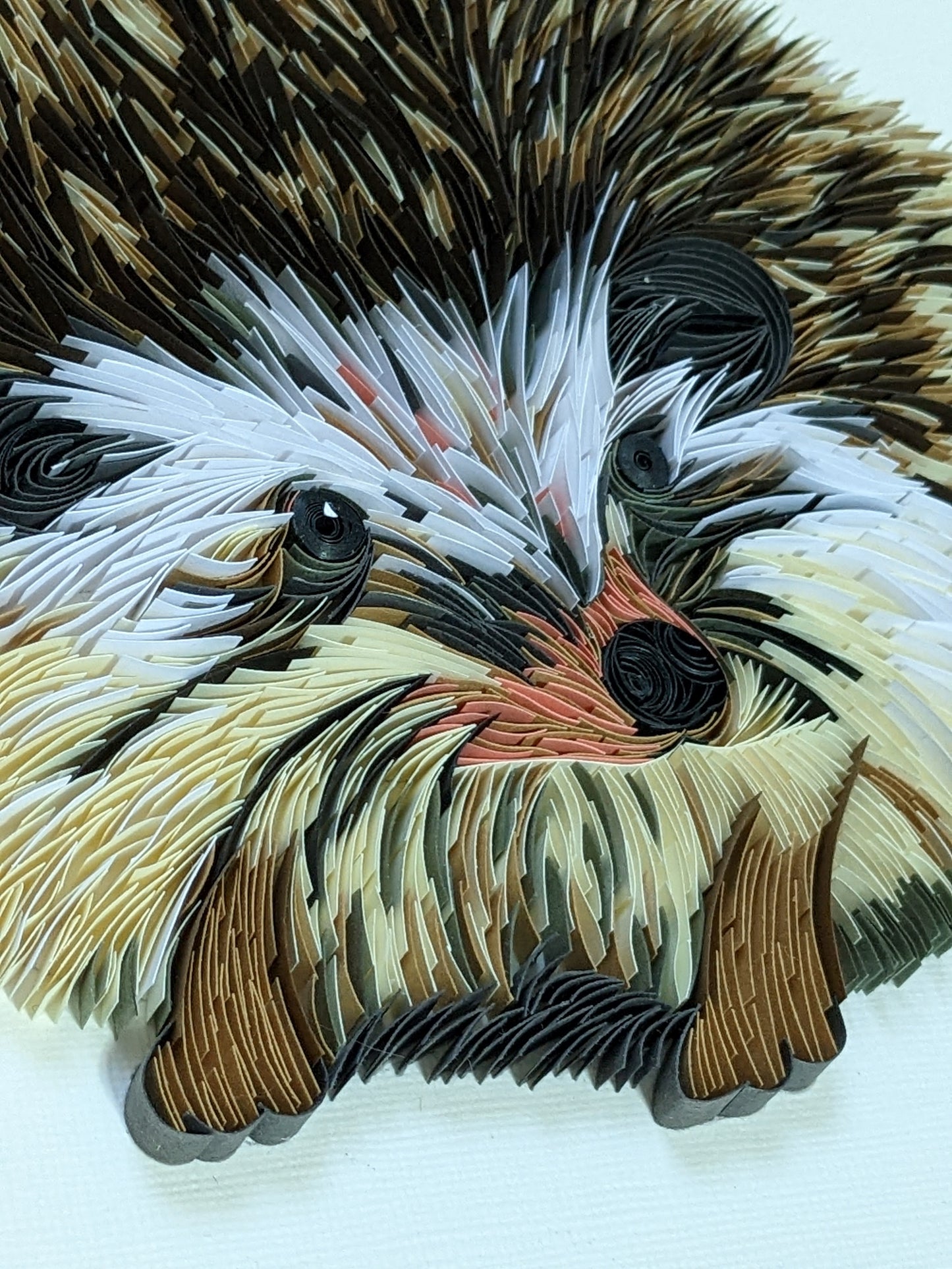 Hedgehog - Wildlife Series - 8x10 Wall Art