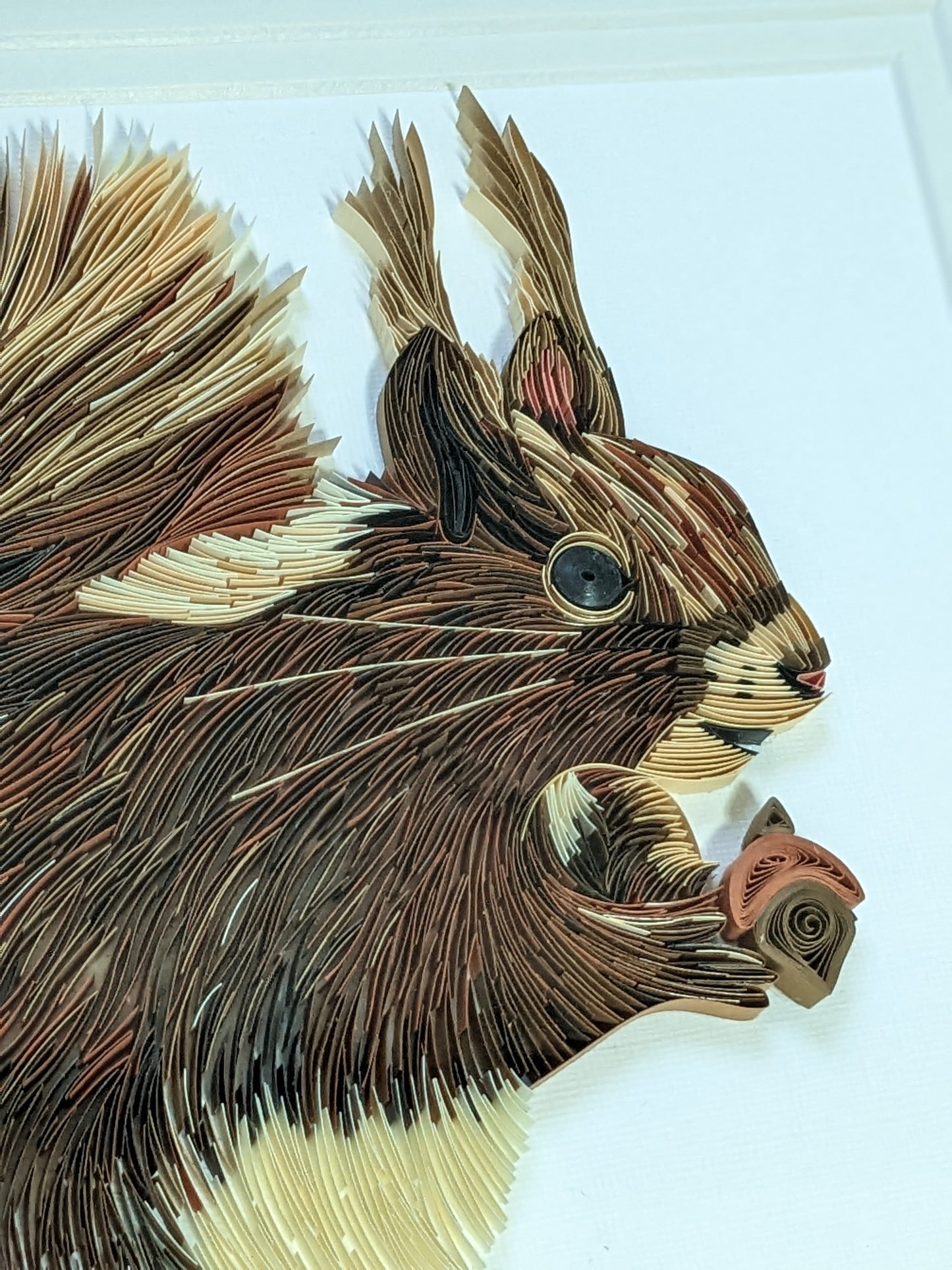 Red Squirrel - Wildlife Series - 8x10 Wall Art