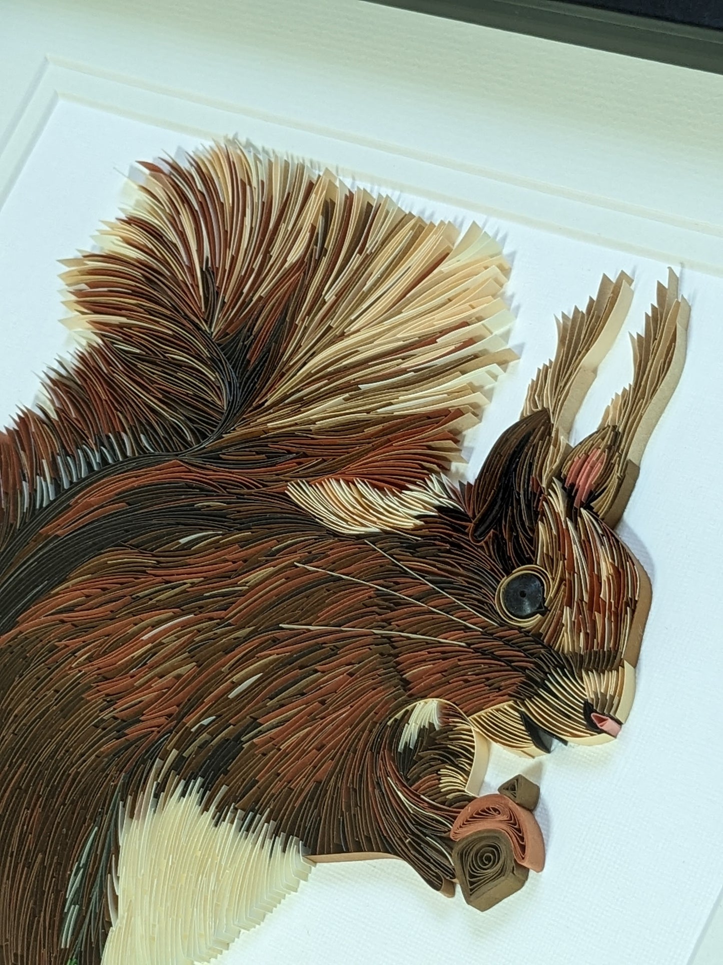 Red Squirrel - Wildlife Series - 8x10 Wall Art