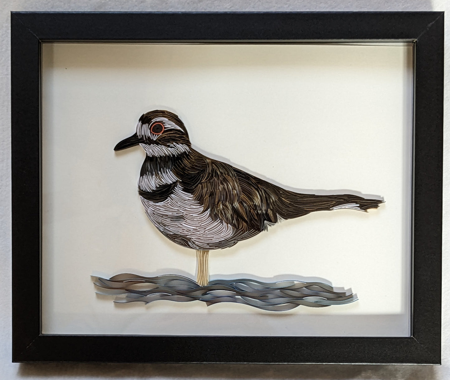 Killdeer - Wildlife Series - 8x10 Wall Art