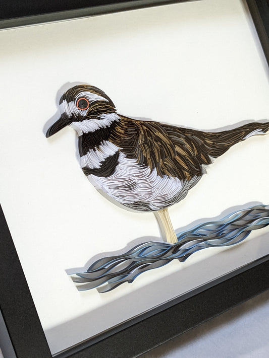 Killdeer - Wildlife Series - 8x10 Wall Art