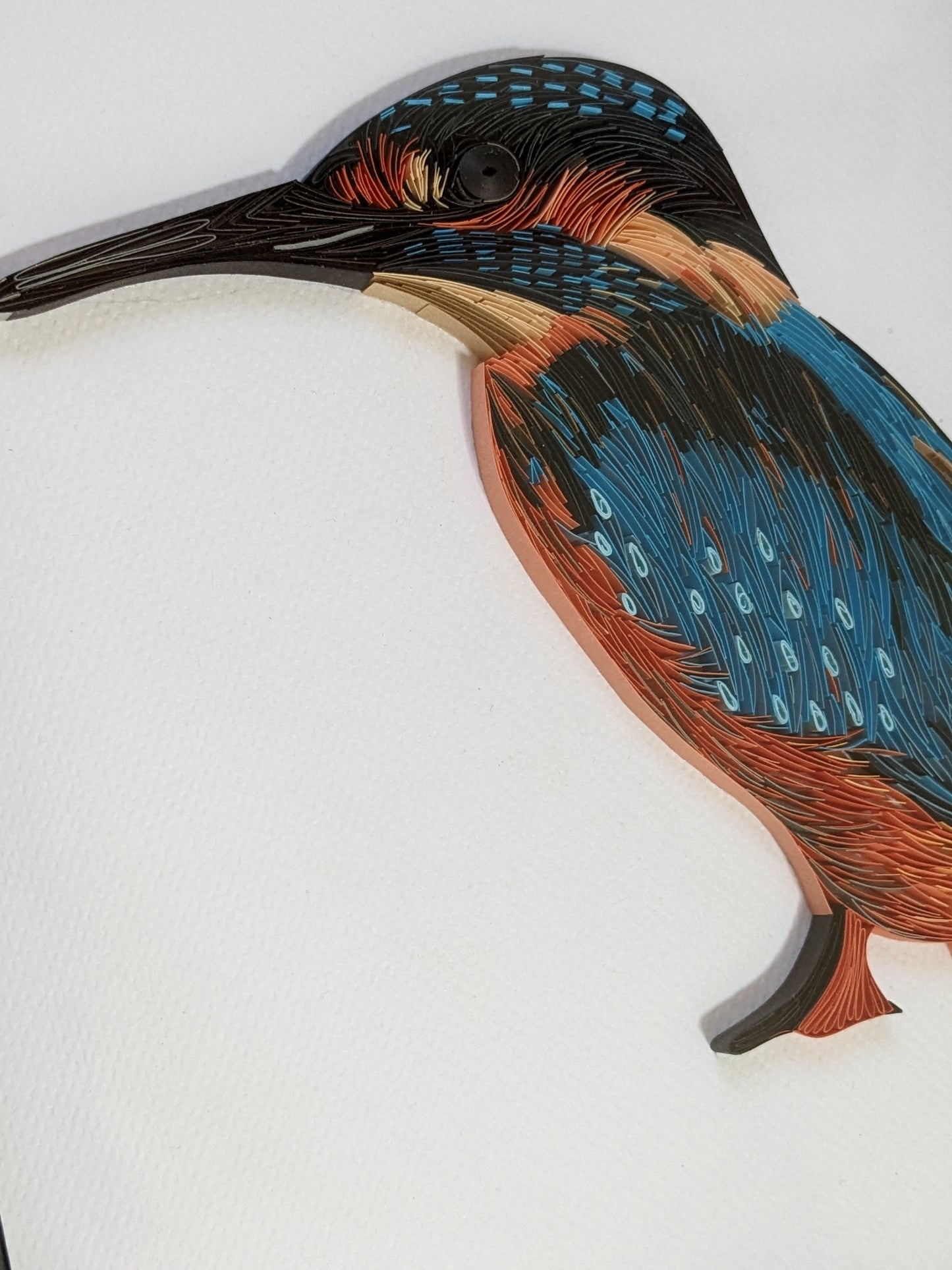 Kingfisher - Made to Order - 8x10 Wall Art