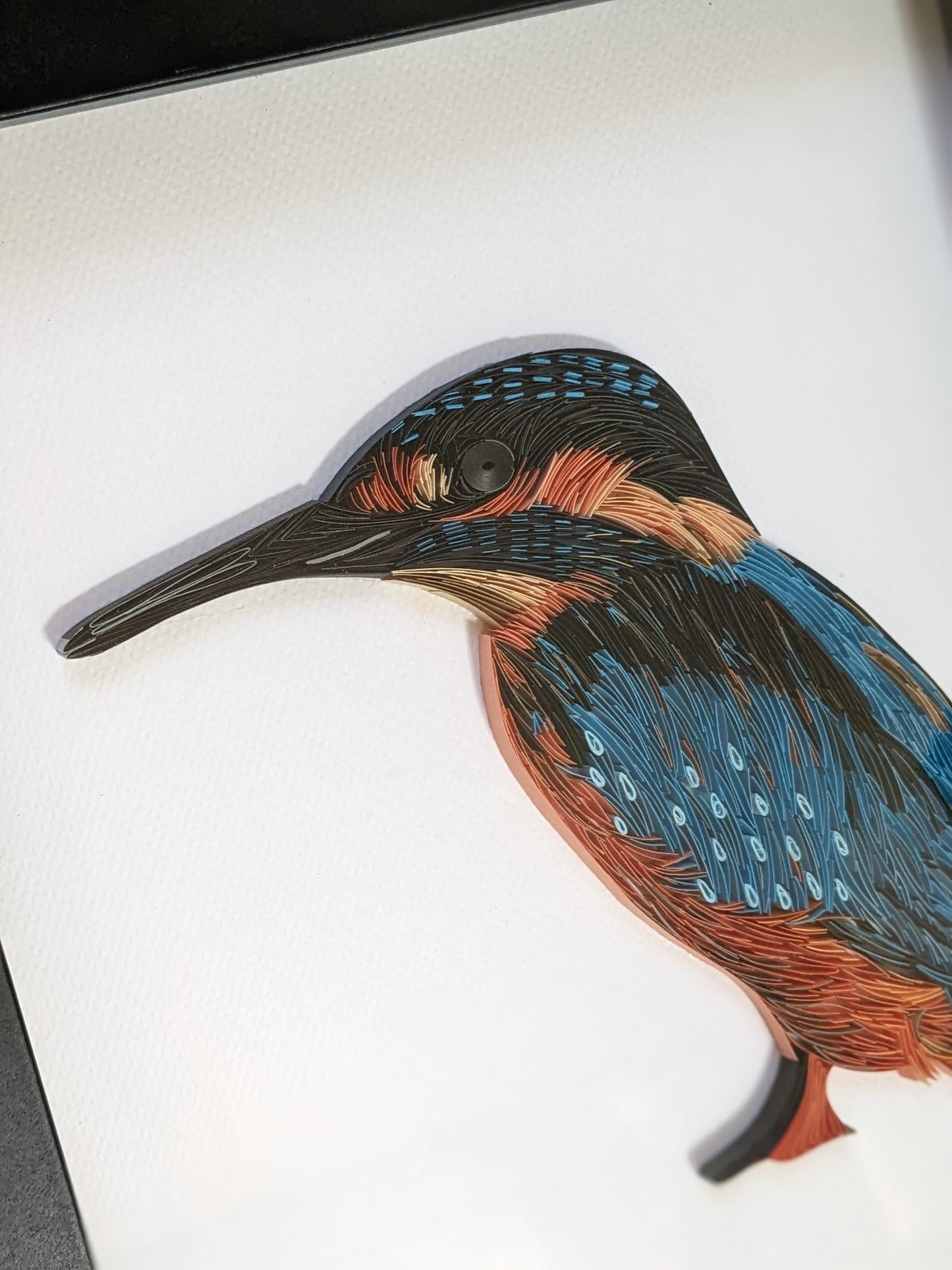 Kingfisher - Made to Order - 8x10 Wall Art