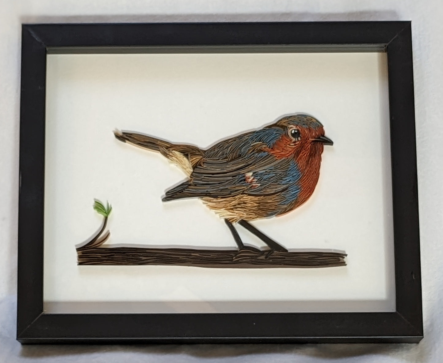 Bluebird - Wildlife Series - 8x10 Wall Art